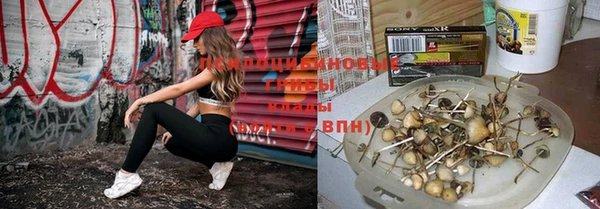 дурь Алексеевка