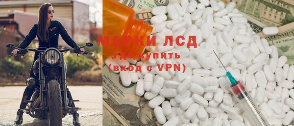 прущие грибы Алзамай