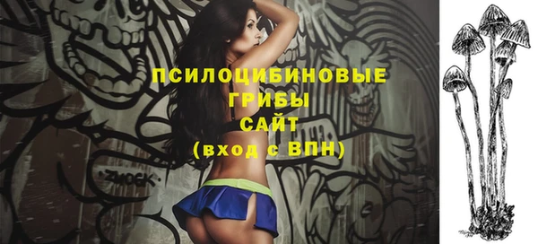 дурь Алексеевка